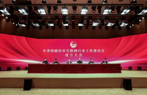 共青团廊坊市互联网行业工作委员会正式成立，为本地企业网站建设注入青春动能